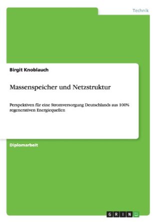 Massenspeicher und Netzstruktur